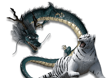 SA Gaming Slot Dragon Tiger
